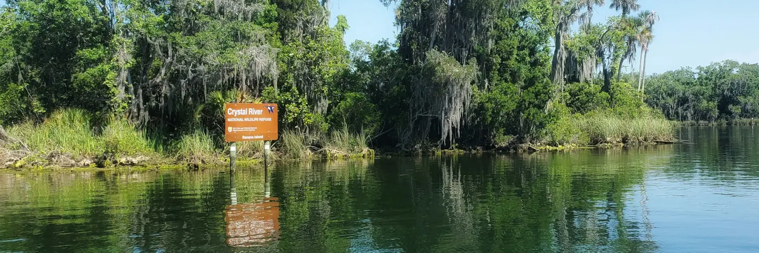 Clear Kayaking Crystal River Florida 5 clear kayaking crystal river florida Clear Kayaking Crystal River Florida