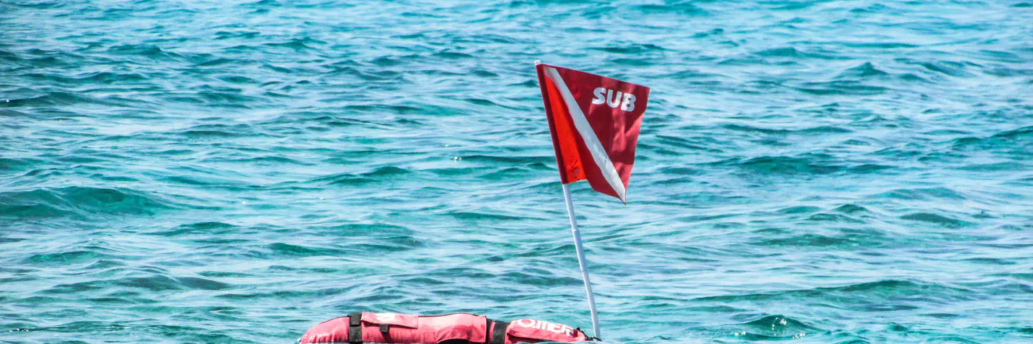 do you need a dive flag for snorkeling Do You Need A Dive Flag For Snorkeling?