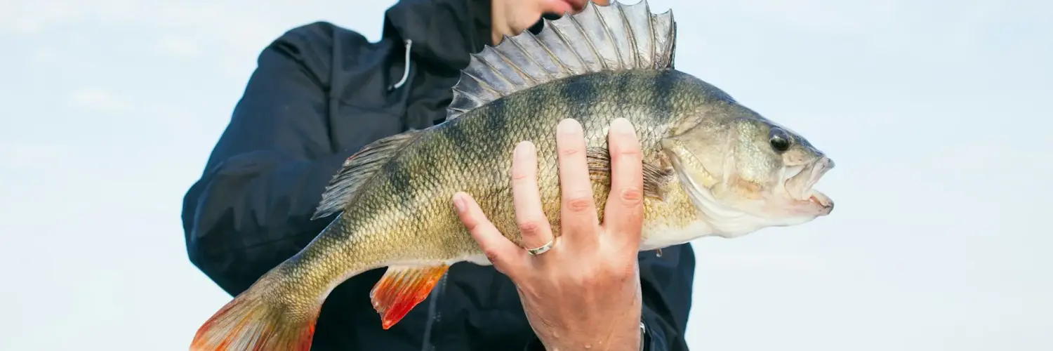 fishing kayak vs bass boat Fishing Kayak vs Bass Boat