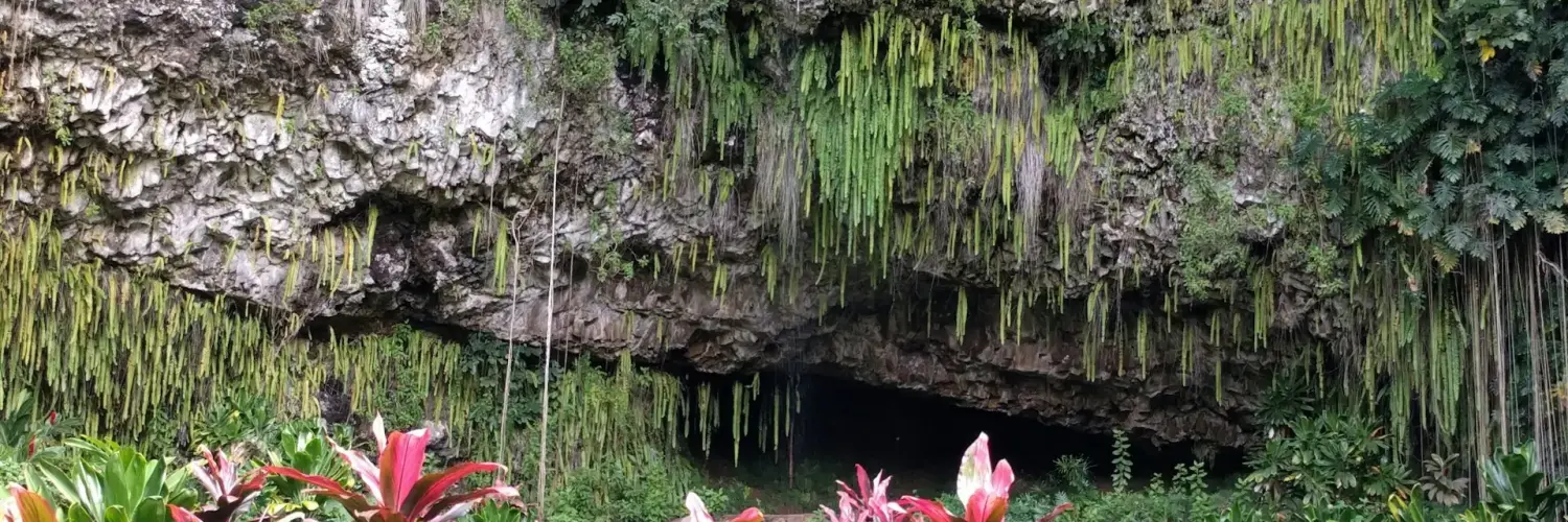 kayak fern grotto excursions a paddlers guide to kauais hidden oasis Kayak Fern Grotto Excursions: A Paddler’s Guide to Kauai’s Hidden Oasis