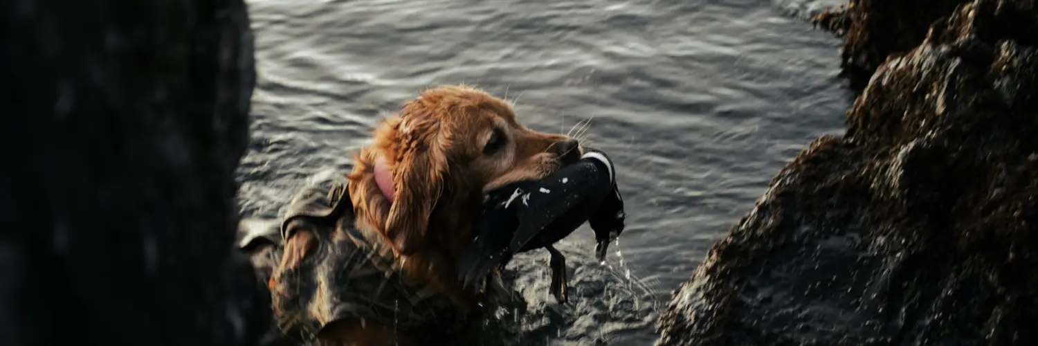 kayak hunting accessories Kayak Hunting Accessories