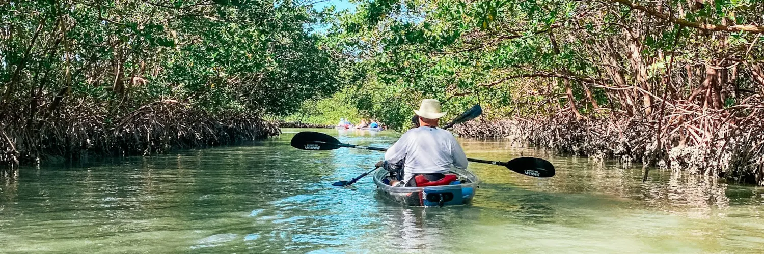 kayak ile dambre Kayak Ile d'Ambre