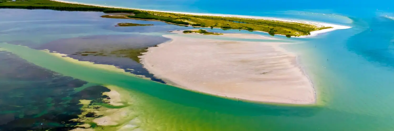 kayaking spots tampa Kayaking Spots Tampa