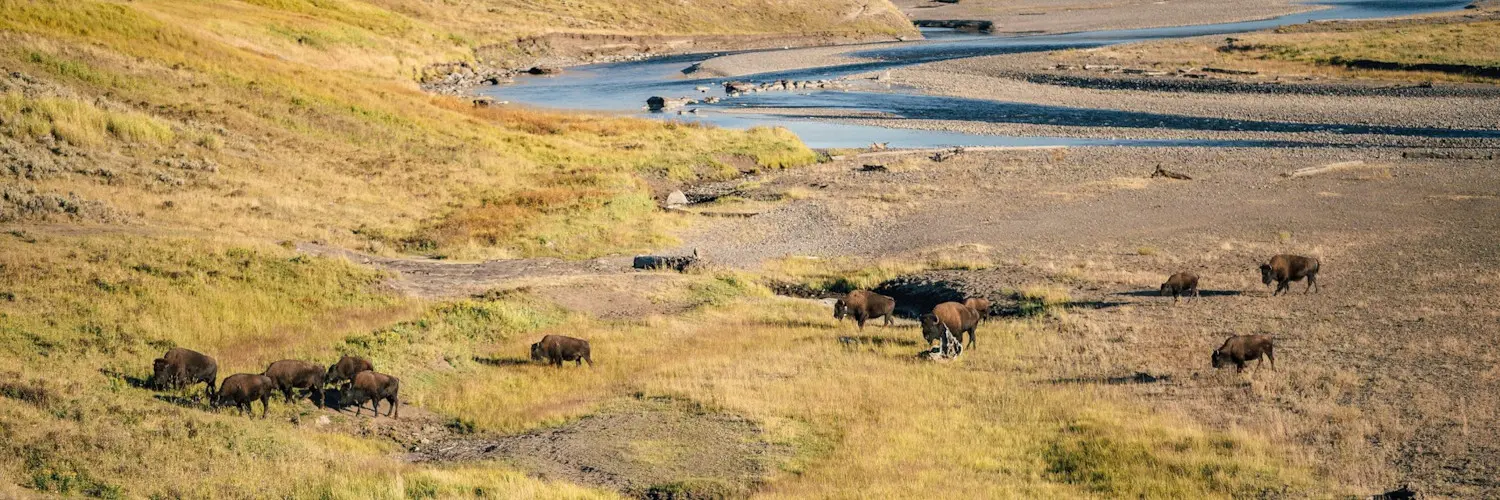 Kayaking Yellowstone River 3 kayaking yellowstone river Kayaking Yellowstone River