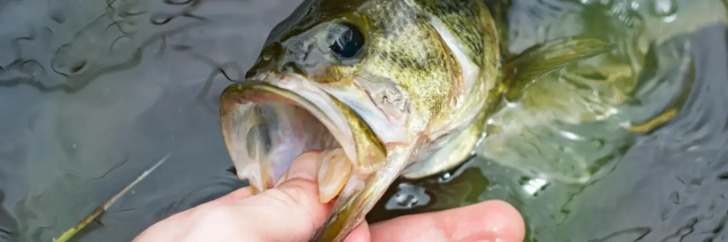 ohio kayak bass fishing tournaments Ohio Kayak Bass Fishing Tournaments