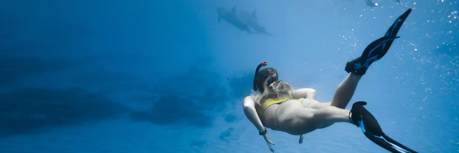 snorkeling dive technique Snorkeling Dive Technique