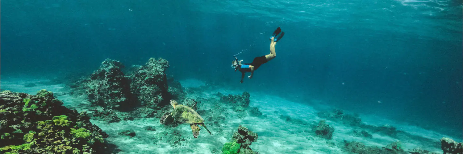 snorkeling kauai vs maui Snorkeling Kauai vs Maui