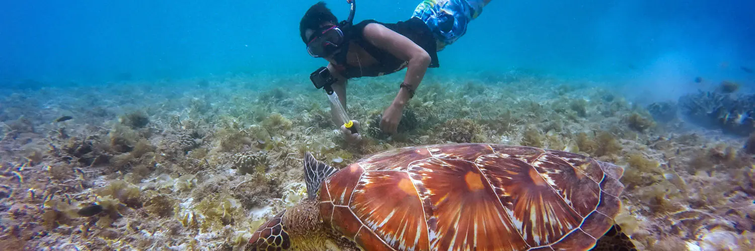 snorkeling must haves Snorkeling Must Haves