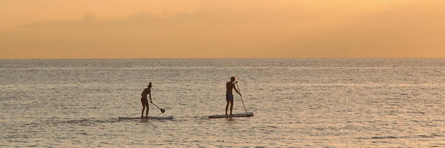 why stand up paddle board is the best Why Stand Up Paddle Board Is The Best